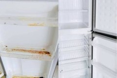 fridge